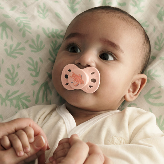 Lot de 2 sucettes anatomiques animaux