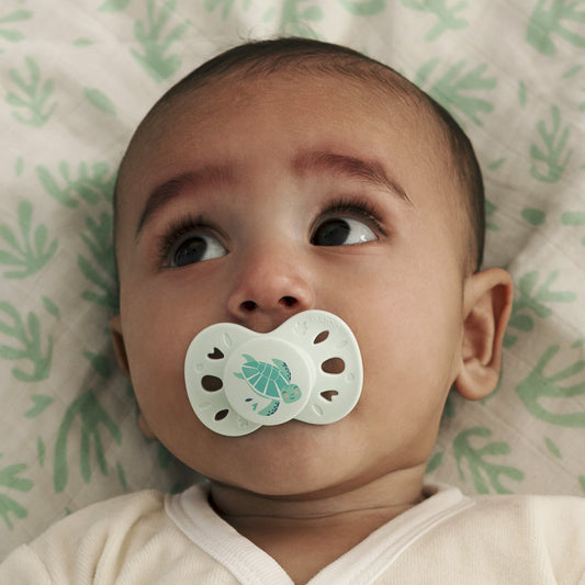 Lot de 2 sucettes anatomiques animaux