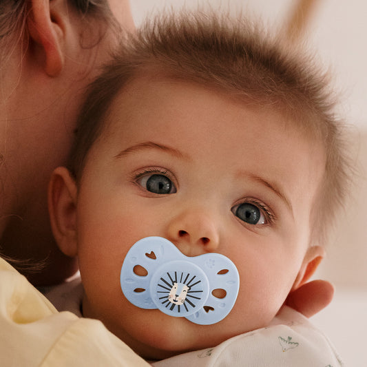 Lot de 2 sucettes anatomiques animaux