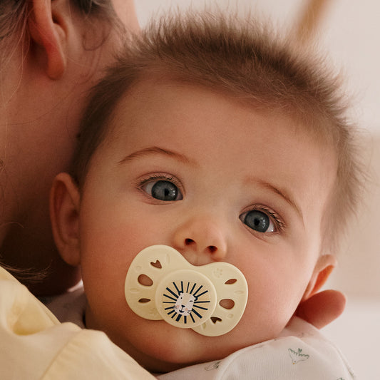 Lot de 2 sucettes anatomiques animaux