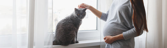 Protégez votre grossesse contre la toxoplasmose