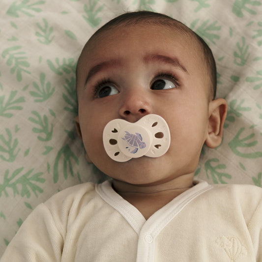 Lot de 2 sucettes anatomiques animaux