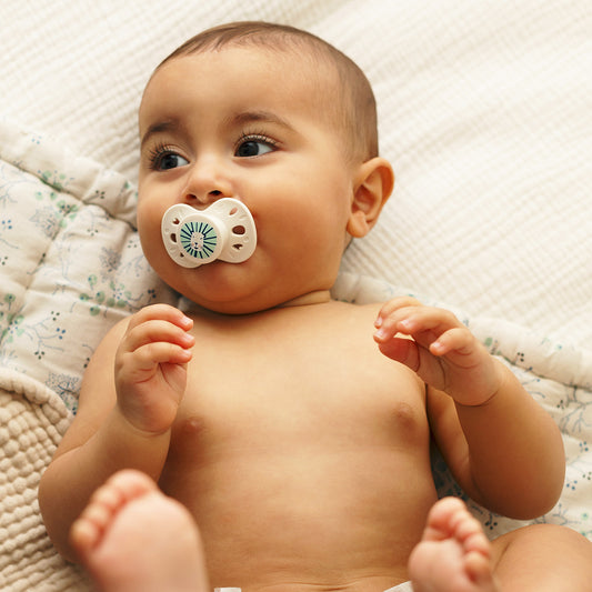 Lot de 2 sucettes anatomiques animaux