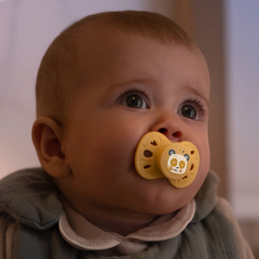 Lot de 2 sucettes anatomiques animaux