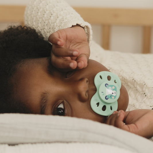 Lot de 2 sucettes anatomiques animaux